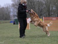 Bendix Obedience Workshop beim VdH Mauer 2016 (74)